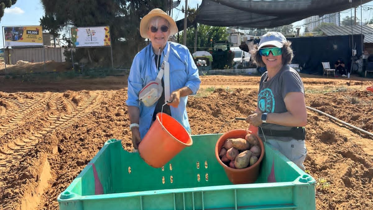 David and Linda Sue harvesting sweet potatoes